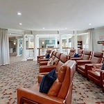 Image of Green Tree (8)