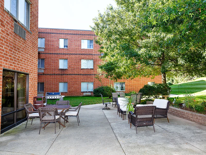 Image of Holiday Walnut Woods (7)