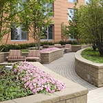 Image of The Apartments at 1251 South Michigan (5)