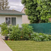 Image of Shafter Senior Manor Apartments (3)