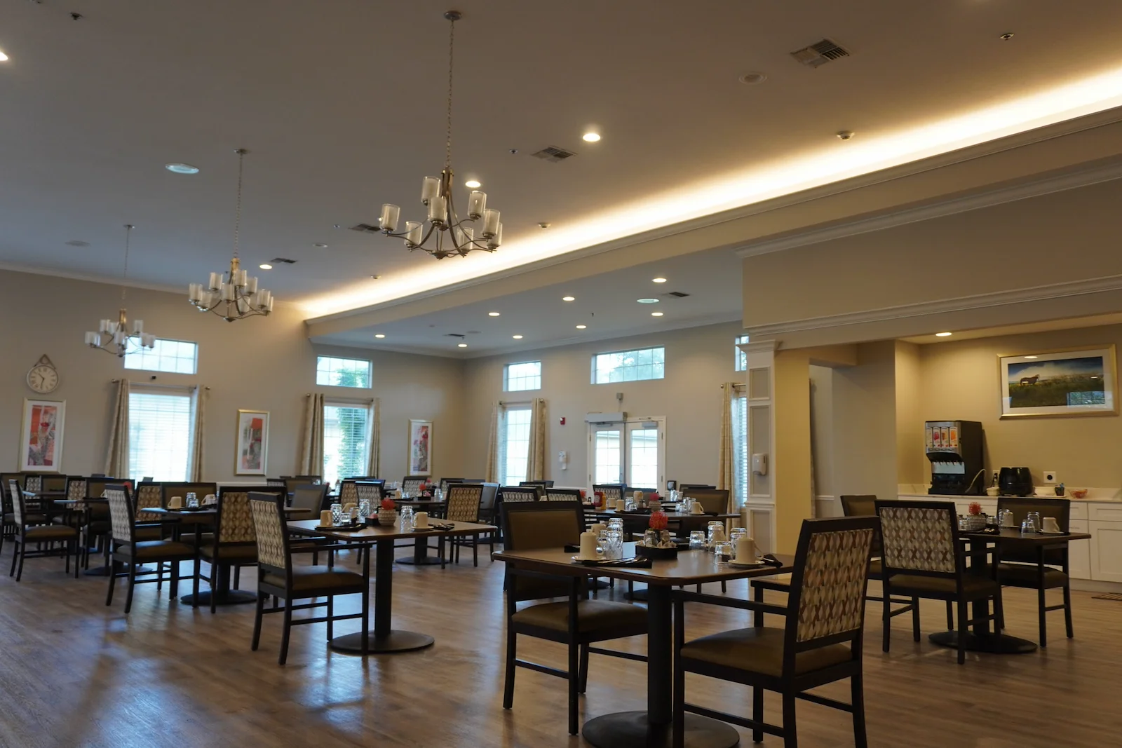 Image of Sodalis Austin (5)