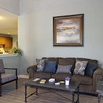 Image of Proverbial Care (3)