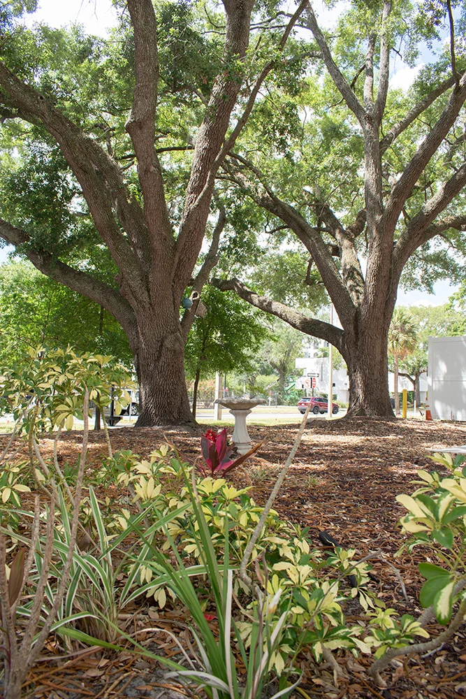 Image of Westminster Plaza (8)