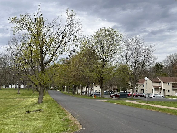 Image of Conifer Village (9)