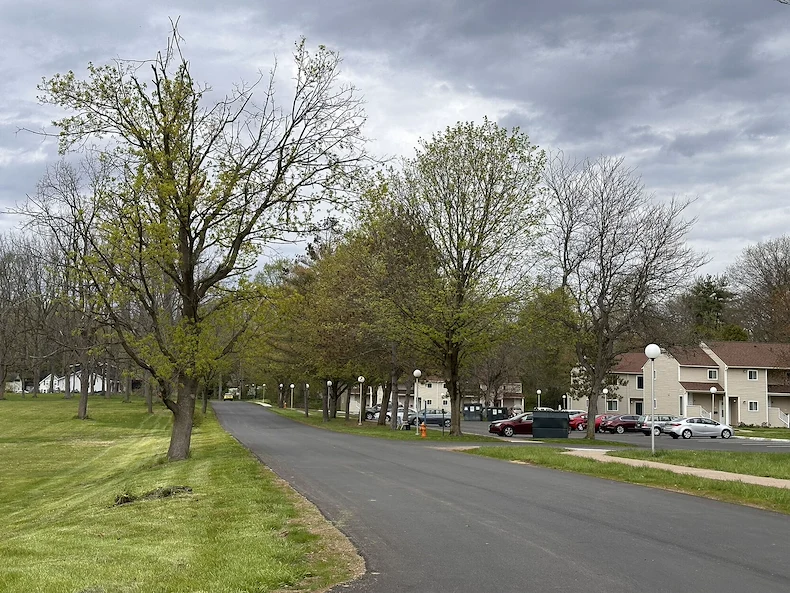 Image of Conifer Village (9)