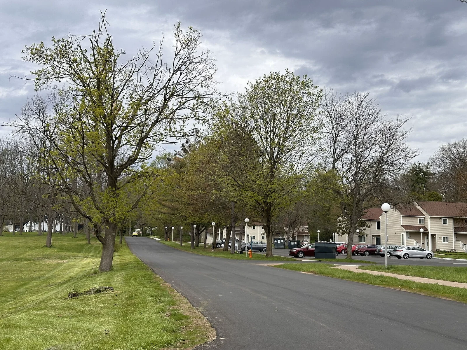 Image of Conifer Village (9)