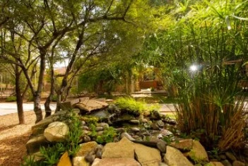 Image of Arbors of Del Rey (2)