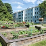 Image of Arbors of Hop Brook (5)