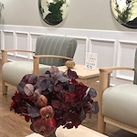 Image of Sundance Creek Post Acute (4)