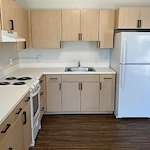 Image of DE Thompson Village (4)