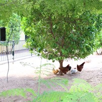 Image of Fairmount Assisted Living (5)
