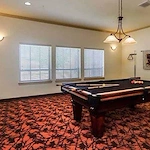 Image of Vitality Court Texas Star (3)