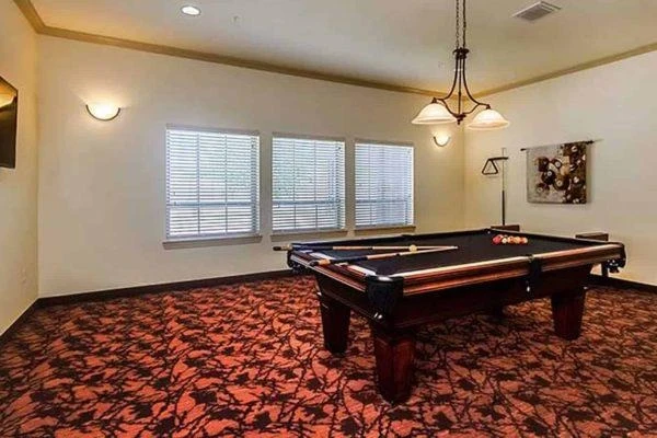 Image of Vitality Court Texas Star (3)