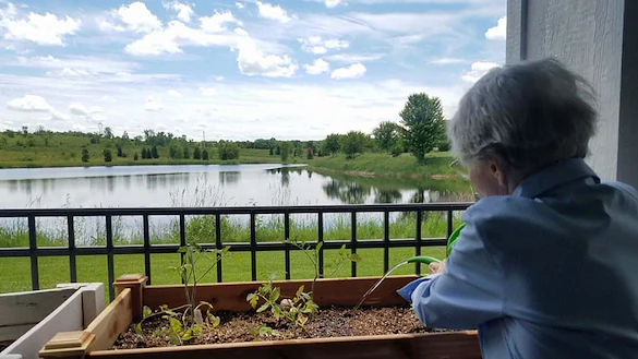 Image of Beehive Homes of Eau Claire (4)