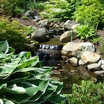 Image of Dirigo Pines (2)