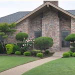 Image of The Family's Choice Bluebonnet (1)