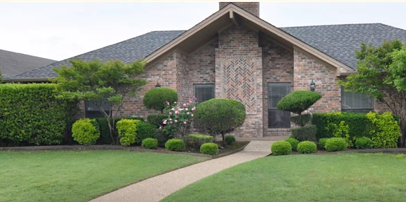 Image of The Family's Choice Bluebonnet (1)