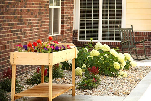 Image of The Meadows of Kalida Senior Living (6)