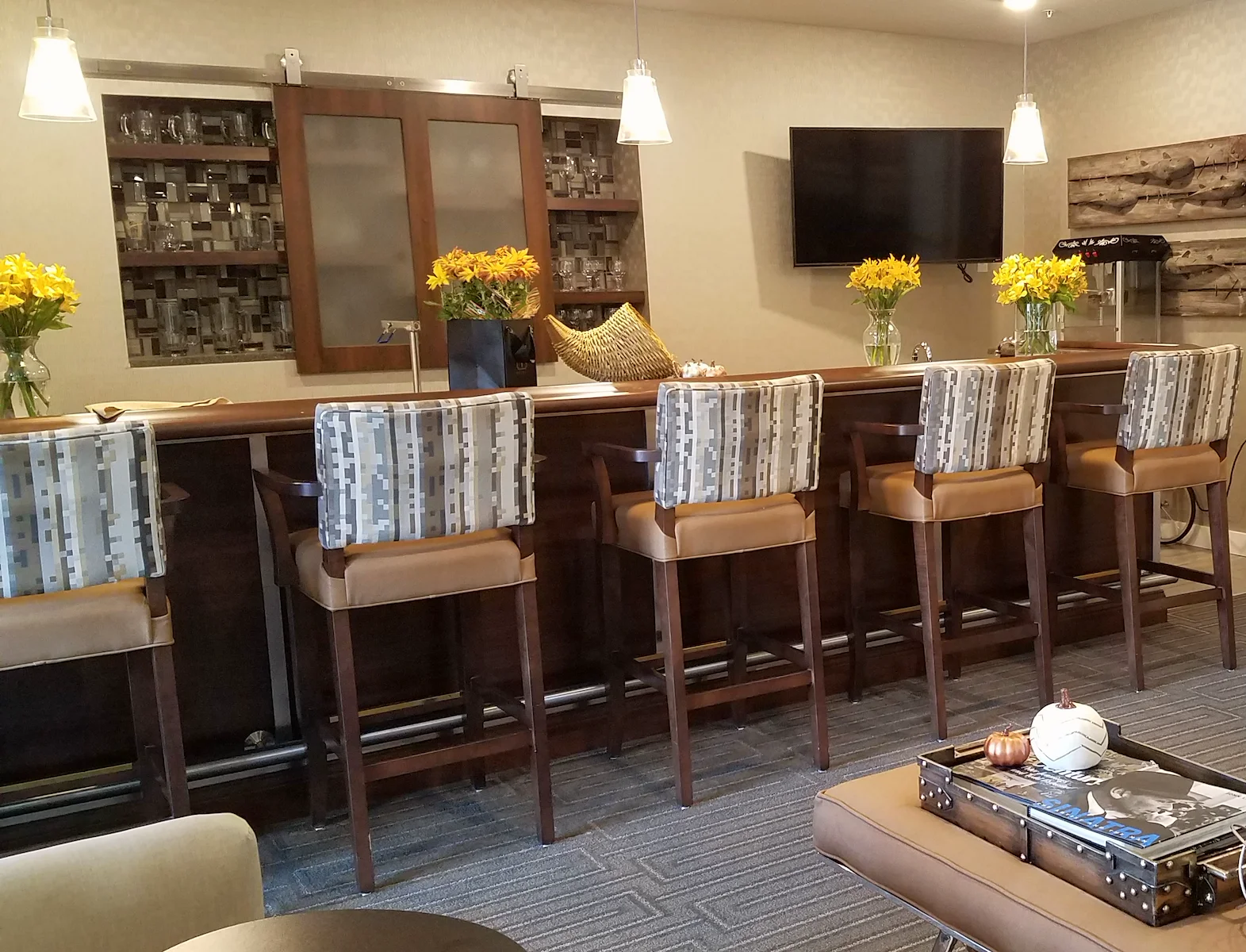 Image of Yorkshire of Edina (5)