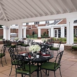 Image of Atria Grapevine (2)