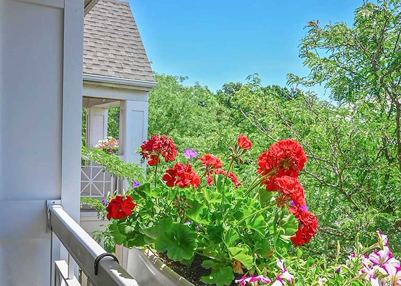 Image of The Parkvue Community (8)