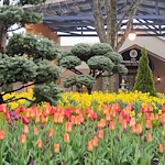 Image of Normandy Manor Of Rocky River (5)