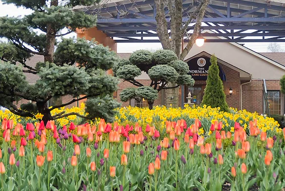 Image of Normandy Manor Of Rocky River (5)