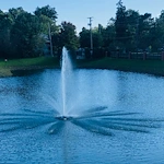 Image of Embassy Of Lyndhurst (4)