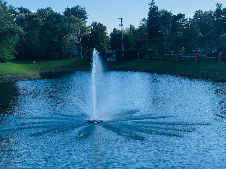 Image of Embassy Of Lyndhurst (4)