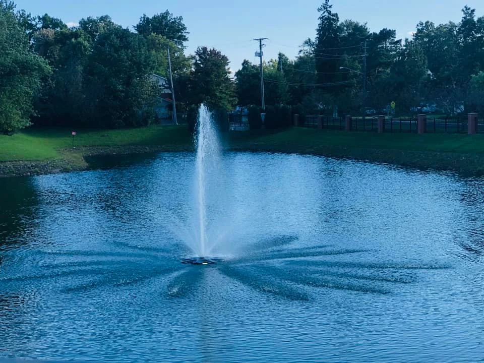 Image of Embassy Of Lyndhurst (4)