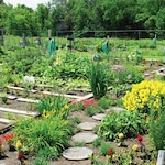 Image of Cedar Community - Cedar Ridge Campus (8)