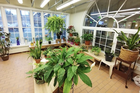 Image of Clark at Franklin (5)