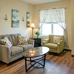 Image of Silver Birch of Kokomo (6)