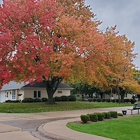 Cottages in the fall