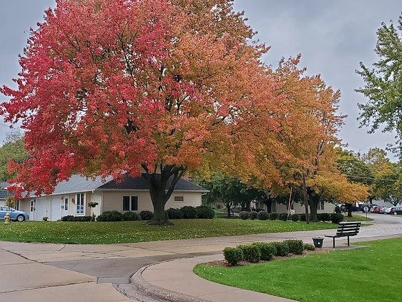 Cottages in the fall