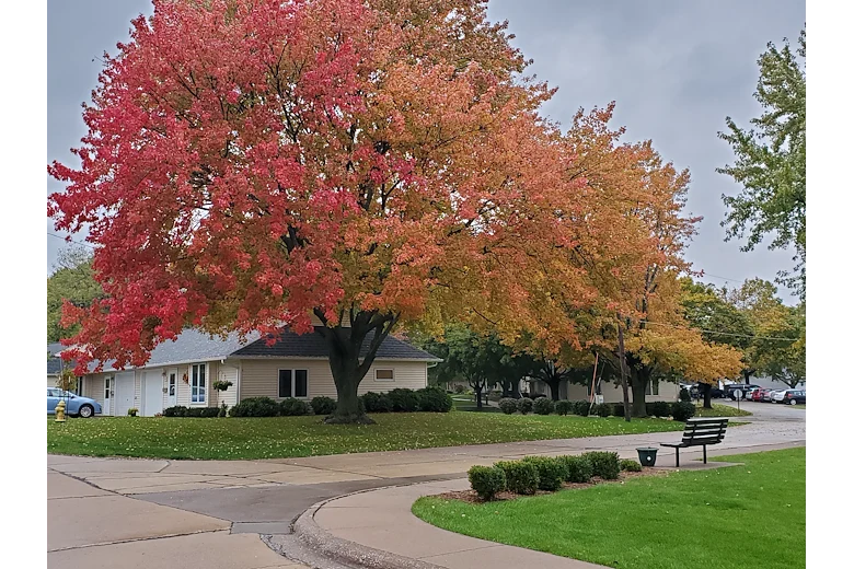Cottages in the fall