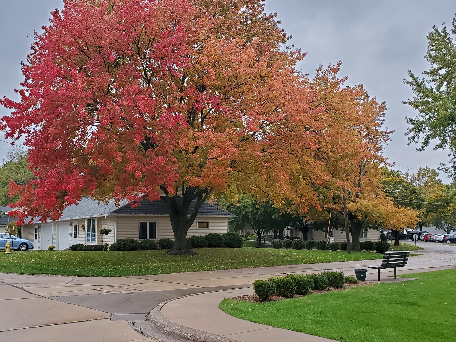 Cottages in the fall
