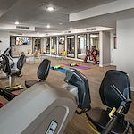 Image of Inspira Arrowhead by Cogir (5)