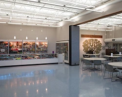 Image of Darson Marie Terrace (3)