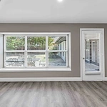 Image of Silver Leaf Graystone (10)