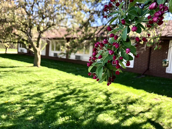 Image of Accura Healthcare Of Newton East, LLC (3)