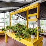 Image of Edgewood Grand Forks 55+ (8)