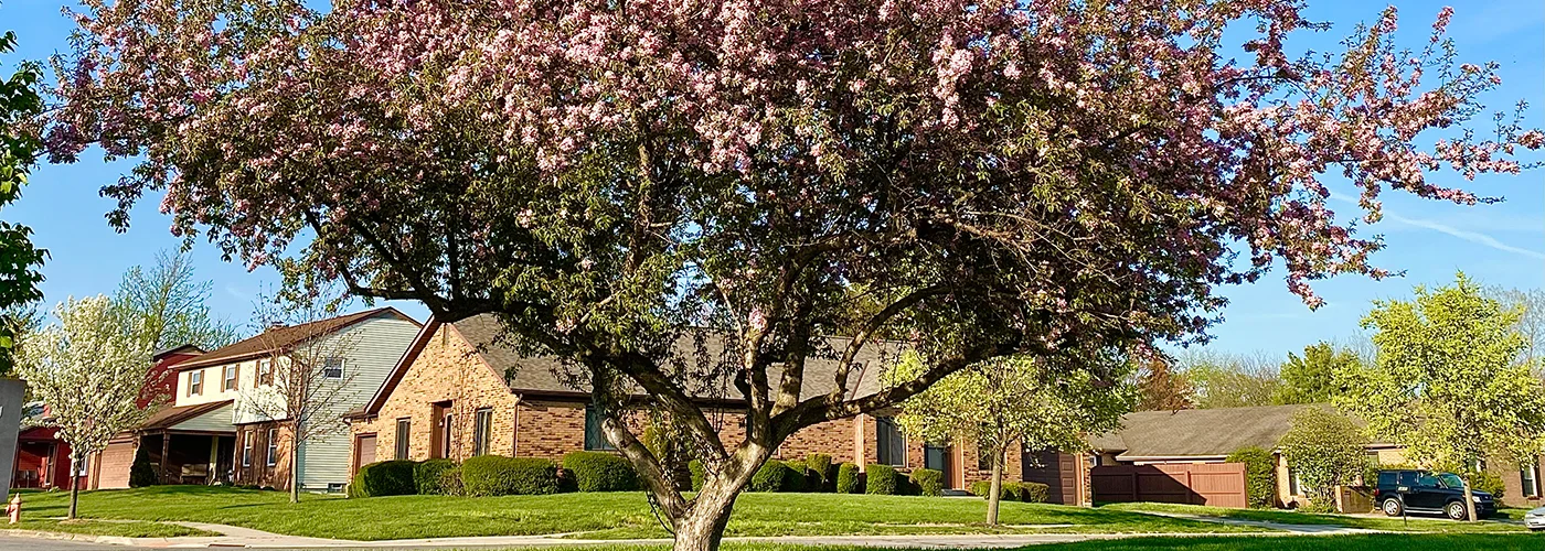 Image of Westerwood Rehabilitation (2)