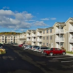 Image of Connect55+ Painted Post (1)