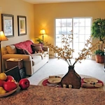 Image of The Crossroads at Bon Air (7)