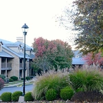 Image of Creekside at Elfindale (1)