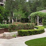 Franklin Park at Sonterra rear walking path beautifully landscaped