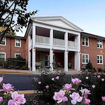 Image of Springvale Terrace (1)