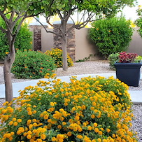 Image of The Villas At Wilmot, Villa E (1)
