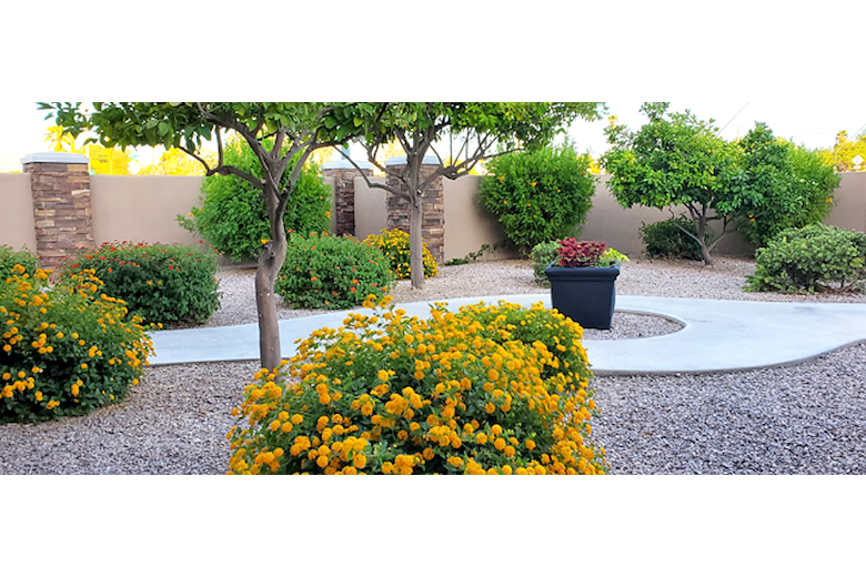 Image of The Villas At Wilmot, Villa E (1)